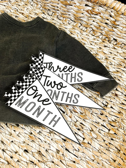 Black and White Checker Felt Pennant Monthly Milestones | Set of 13 | Includes Hello World