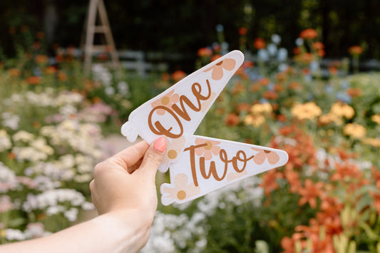 Boho Daisy Felt Pennants for Monthly Milestones, School Grades, Birthday Photo Props