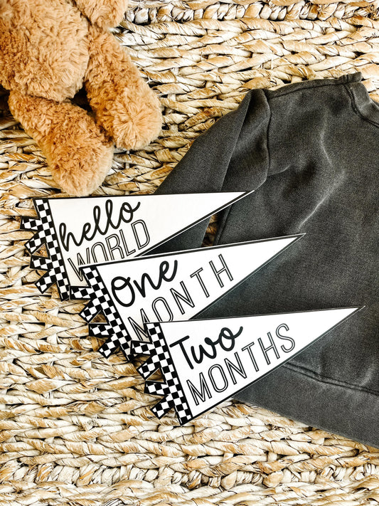 Black and White Checker Felt Pennant Monthly Milestones | Set of 13 | Includes Hello World