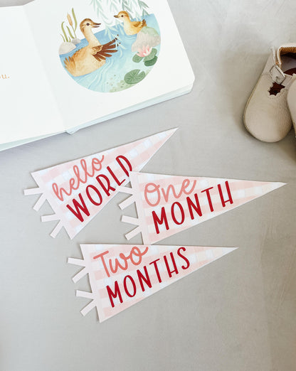 Pink Gingham Felt Pennant Monthly Milestones | Set of 13 | Includes Hello World