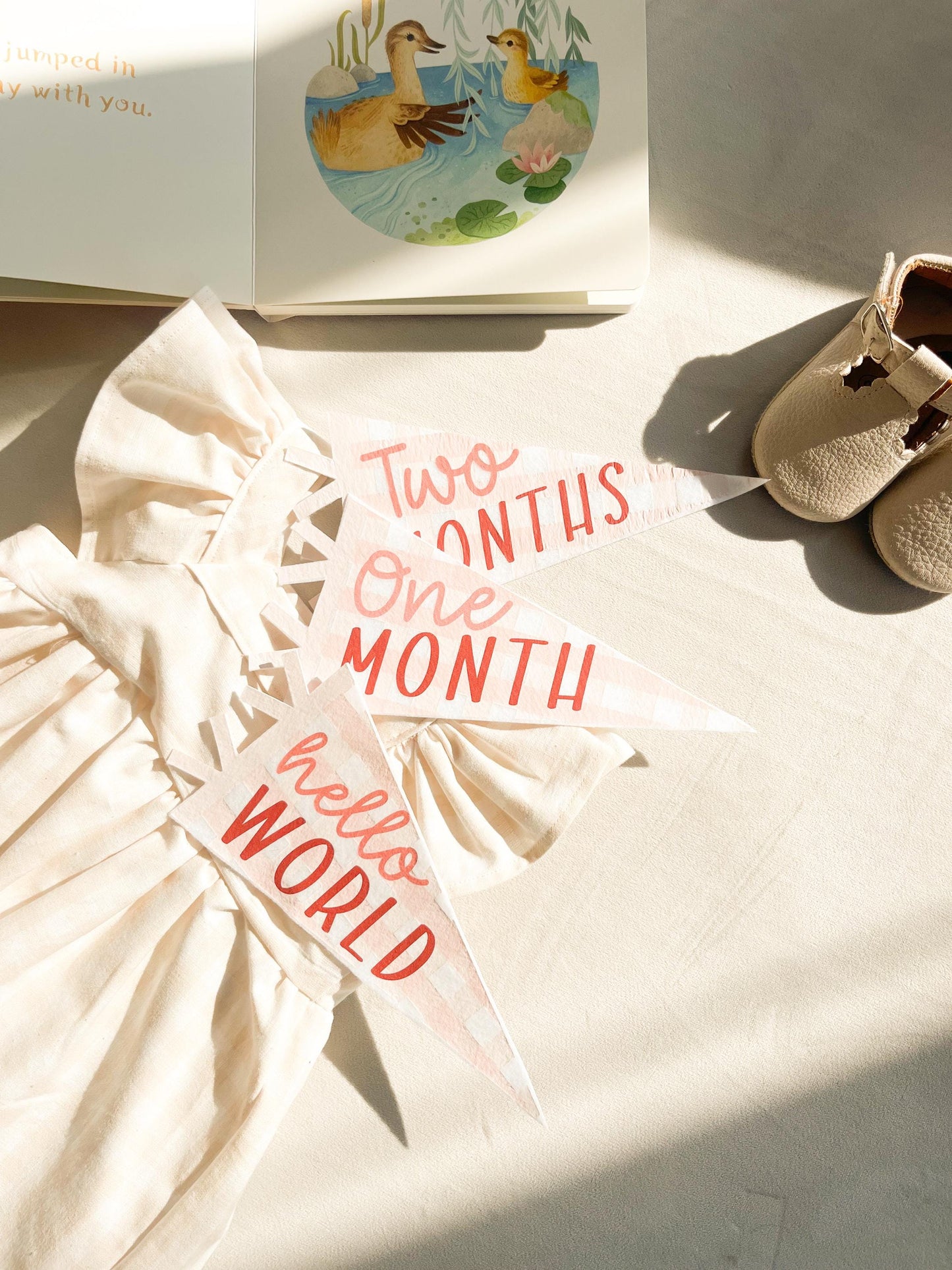 Pink Gingham Felt Pennant Monthly Milestones | Set of 13 | Includes Hello World
