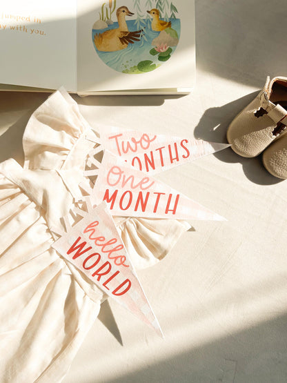 Pink Gingham Felt Pennant Monthly Milestones | Set of 13 | Includes Hello World
