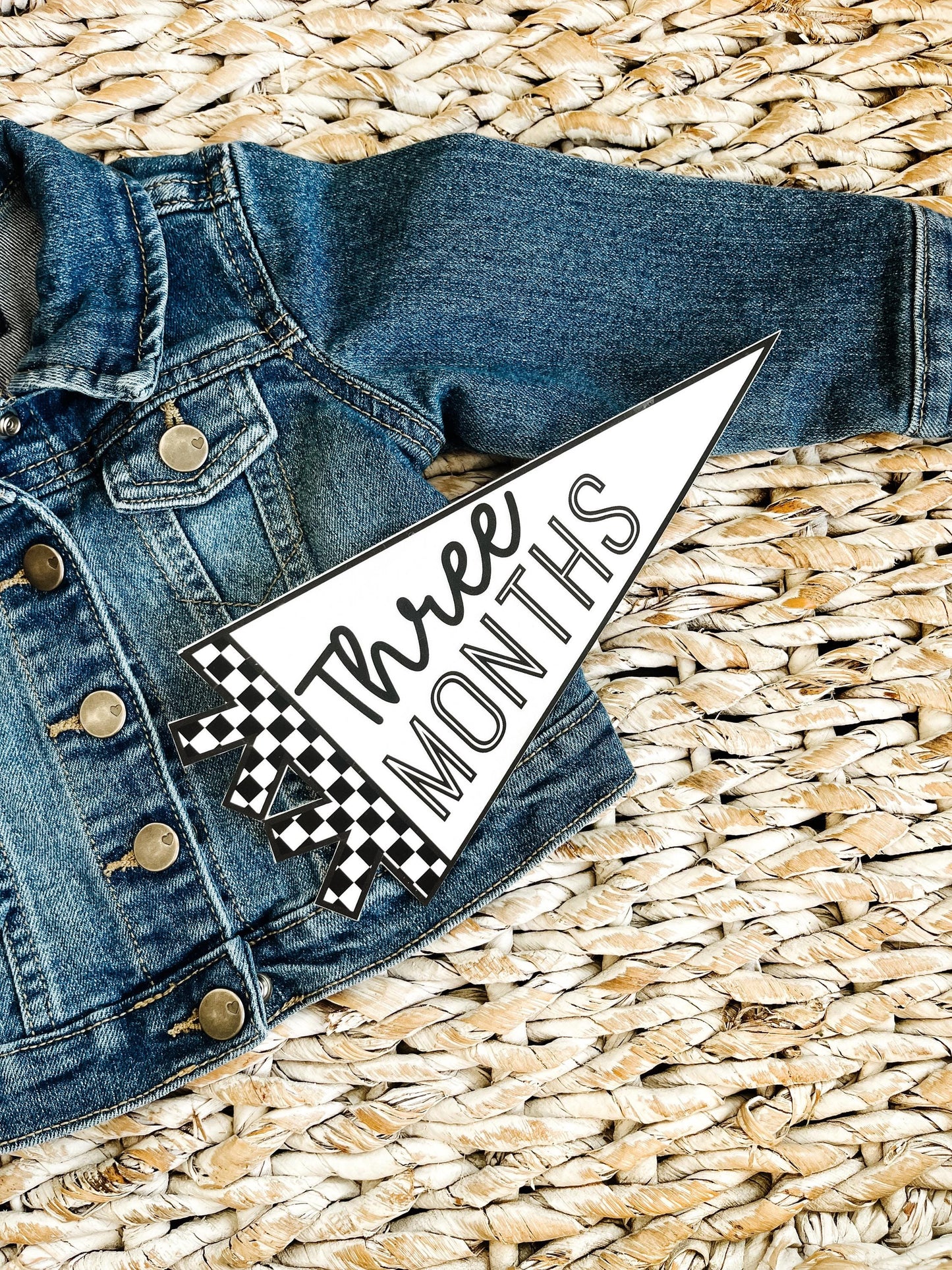 Black and White Checker Felt Pennant Monthly Milestones | Set of 13 | Includes Hello World
