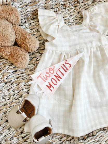 Pink Gingham Felt Pennant Monthly Milestones | Set of 13 | Includes Hello World