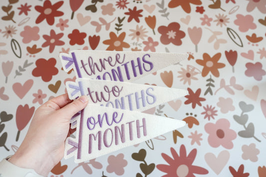Shades of Purple Embroidered Felt Pennant Monthly Milestones