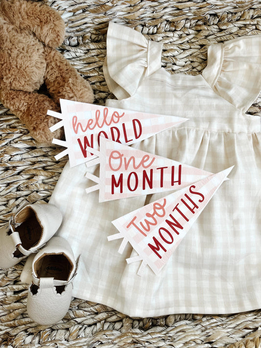 Pink Gingham Felt Pennant Monthly Milestones | Set of 13 | Includes Hello World